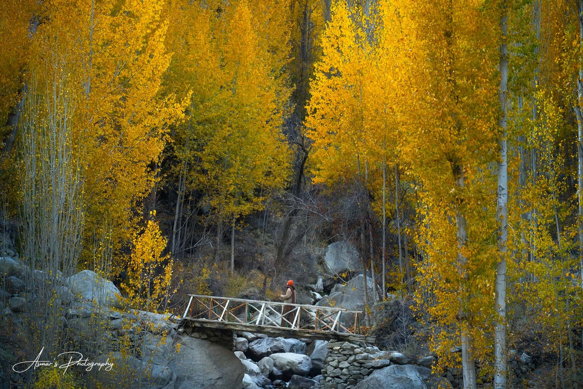 Gulmit, Hunza