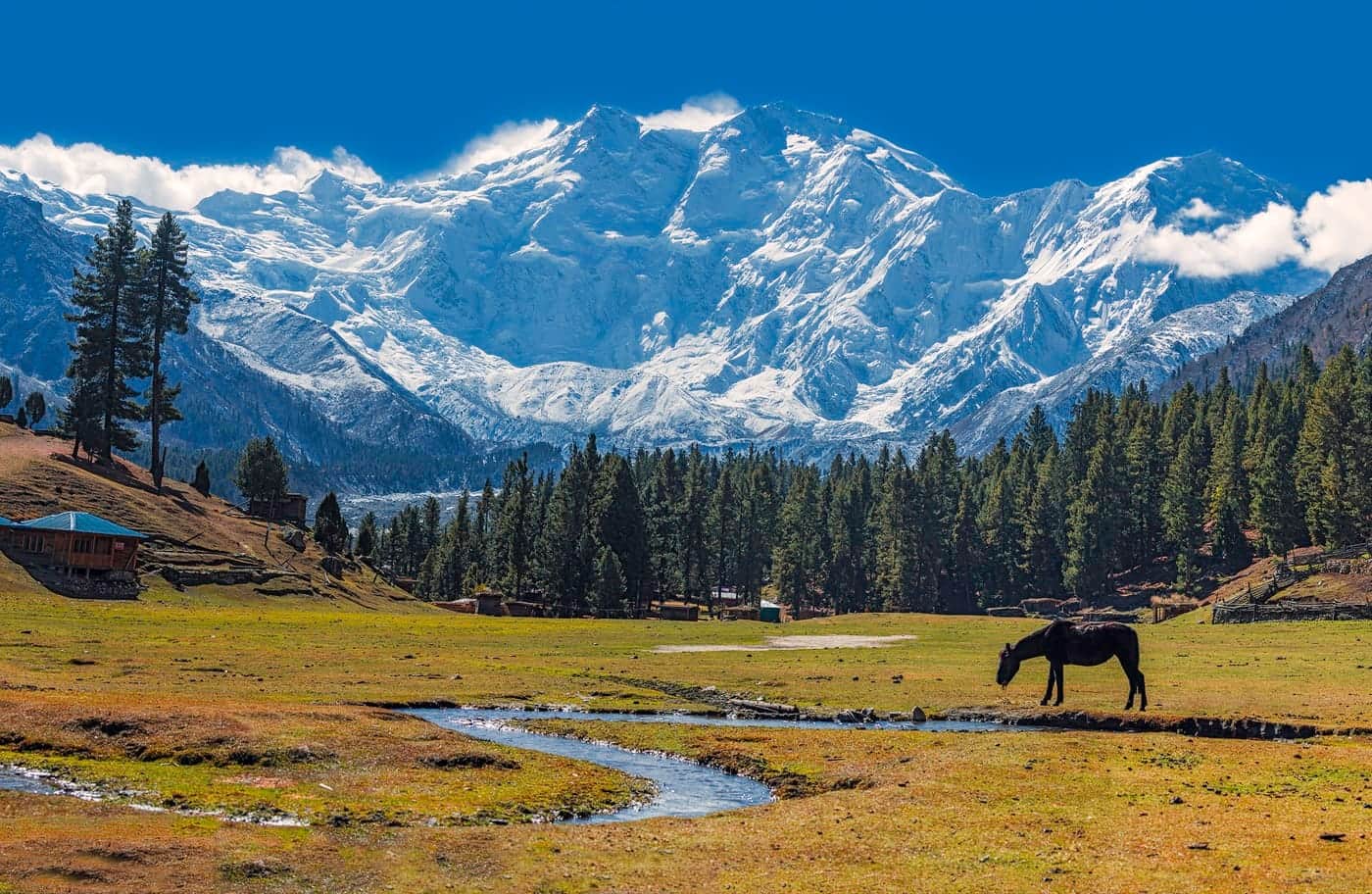 Fairy Meadows & Nanga Parbat
