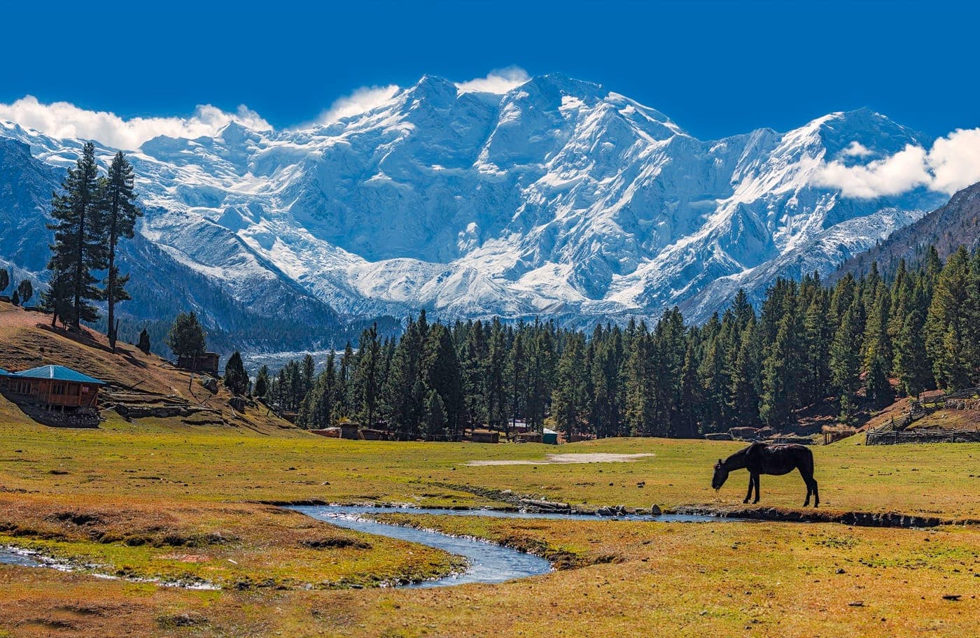 Fairy Meadows & Nanga Parbat