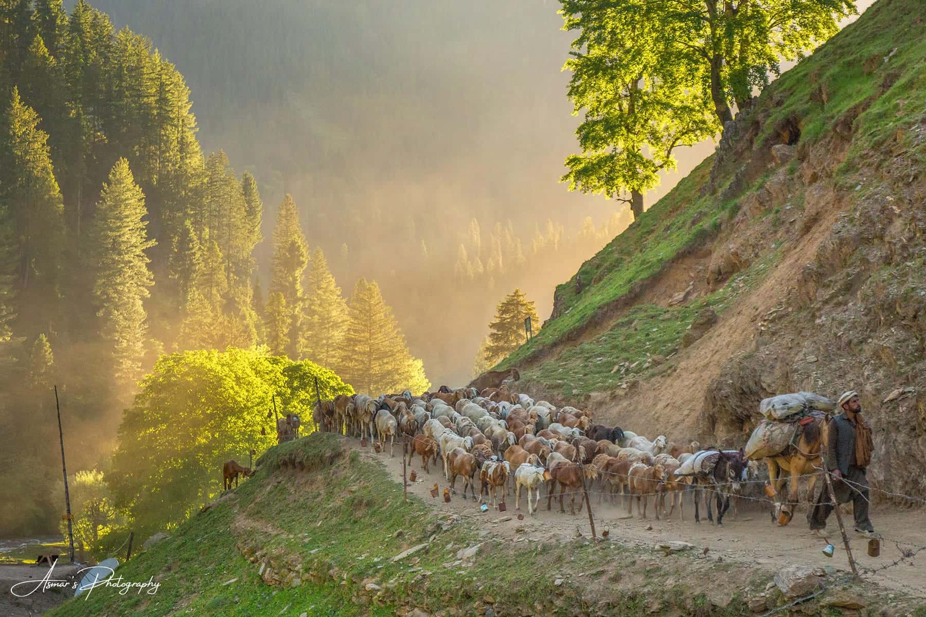Kashmir — Neelum Valley