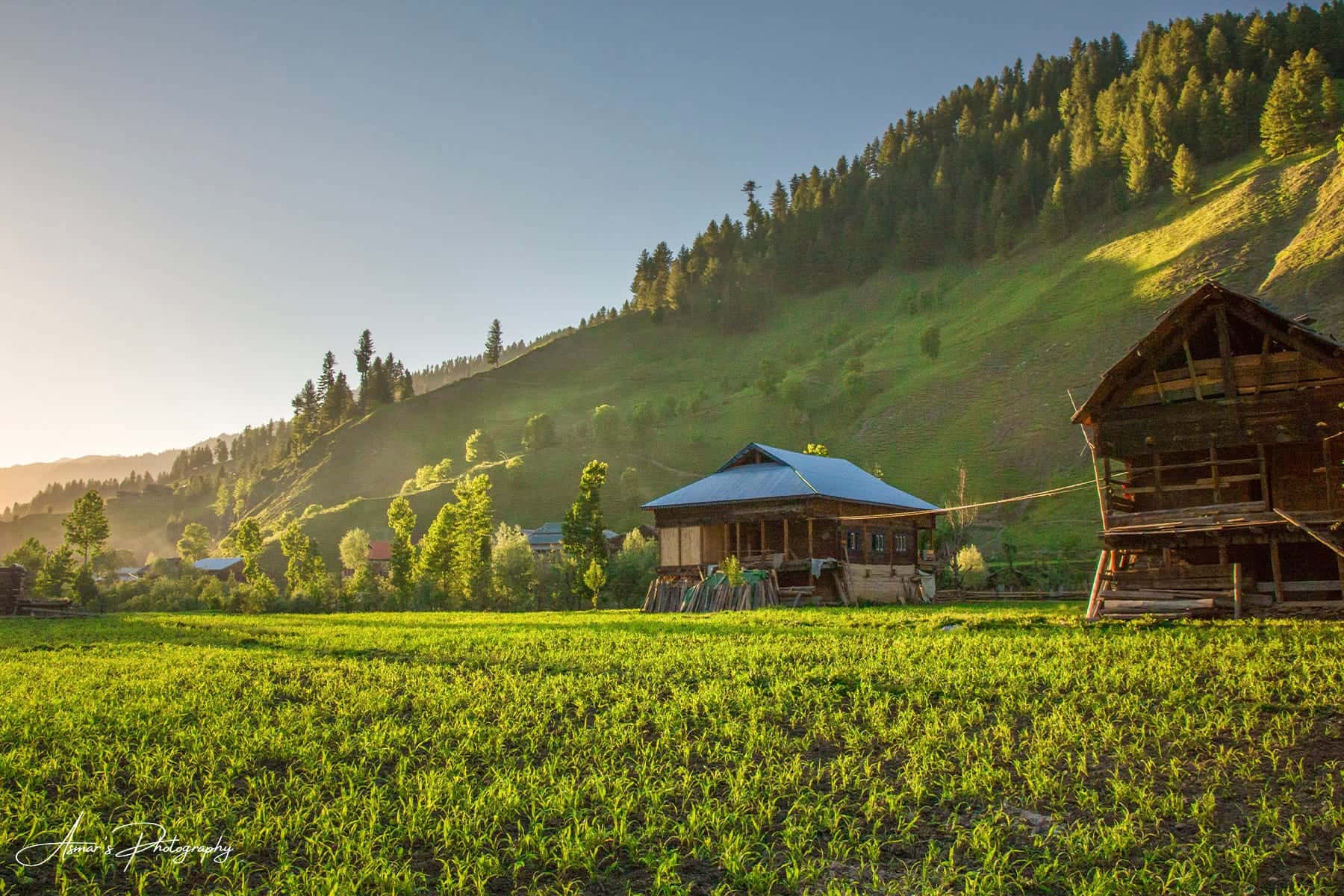 Taobat Meadows