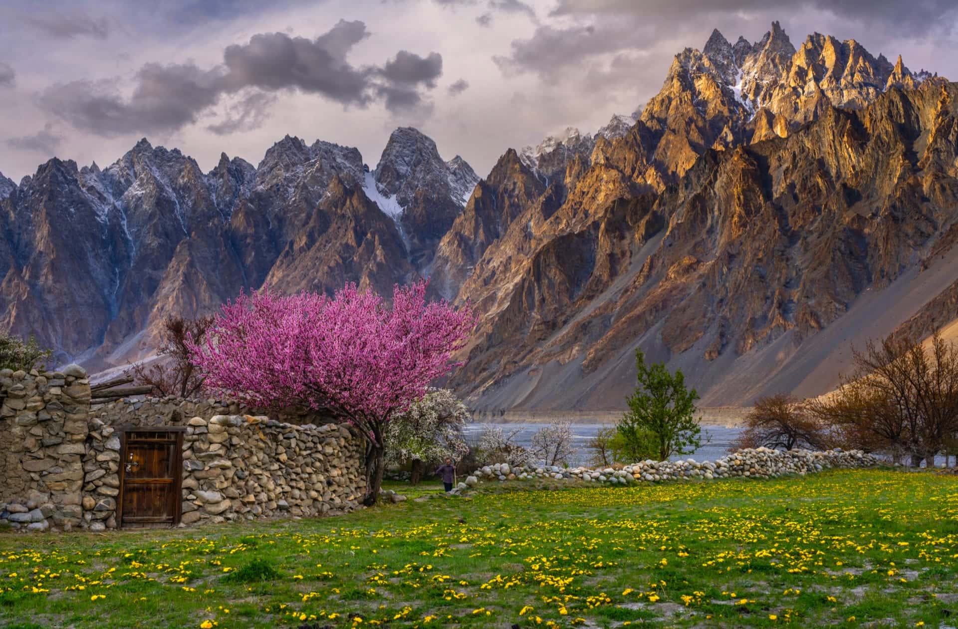 Passu Cones
