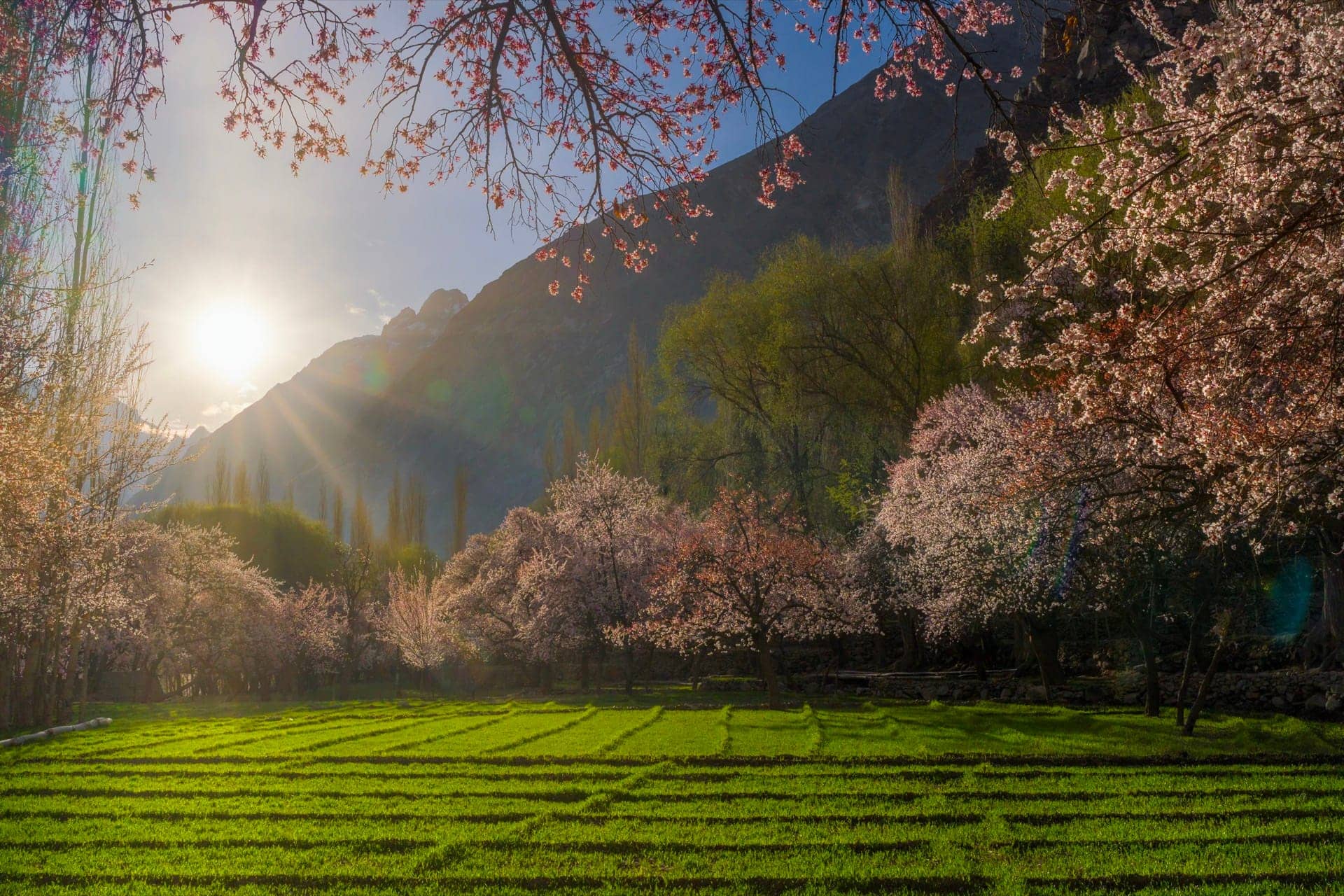 Hunza Valley 1