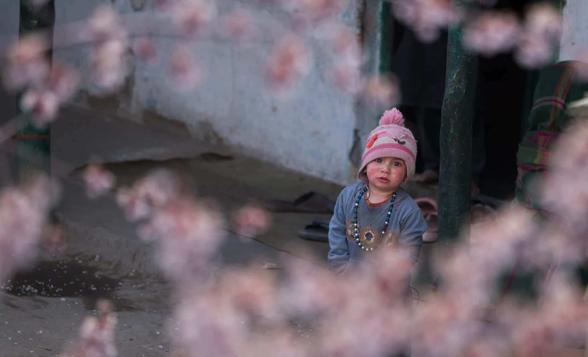 Spring Swat