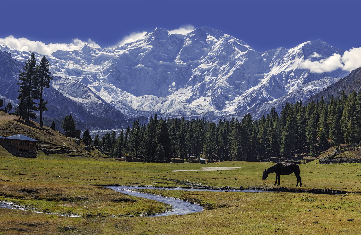 Fairy Meadows & Nanga Parbat