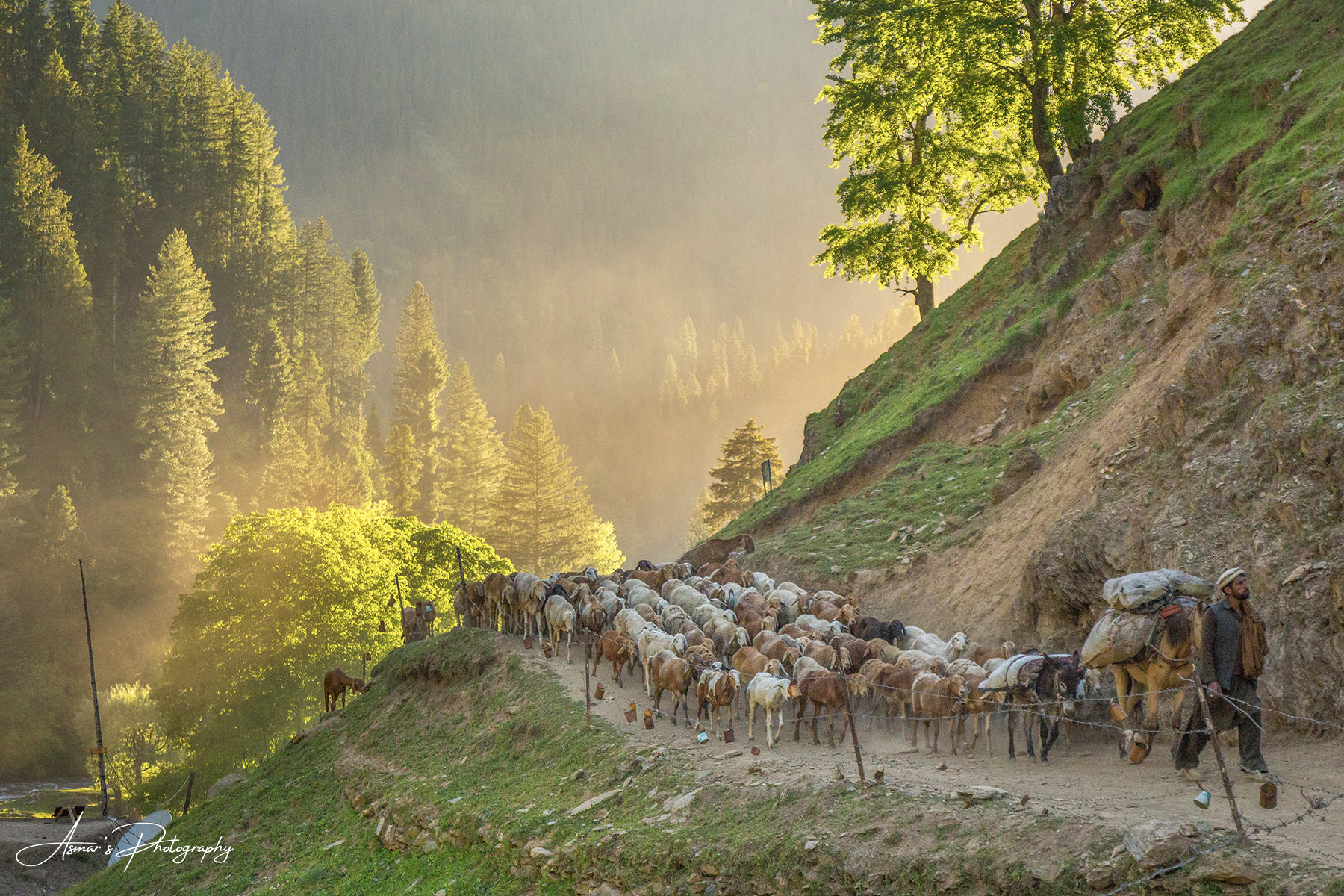 Kashmir — Neelum Valley