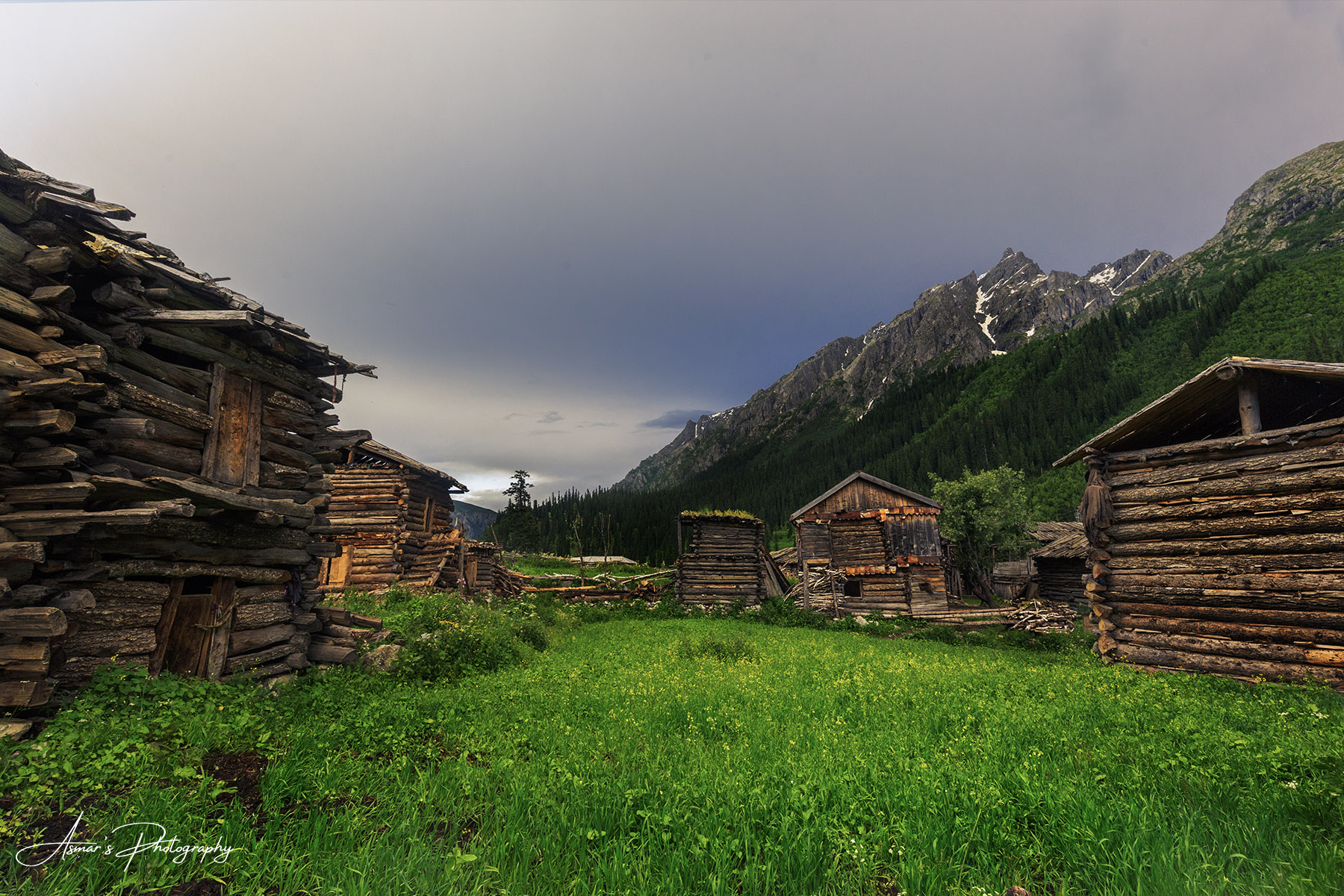 Minimarg Meadows