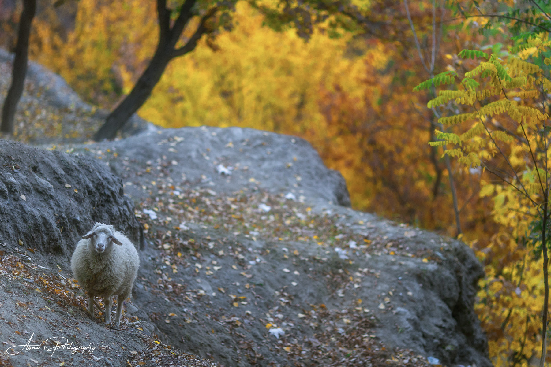 Nagar Valley — The Other Side of Hunza