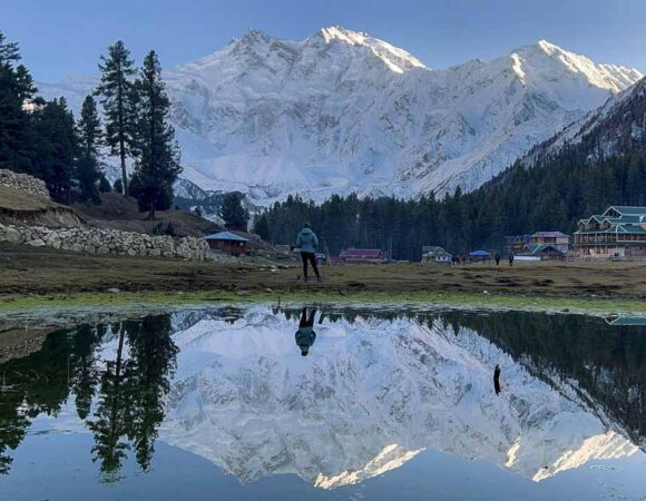 Fairy Meadows